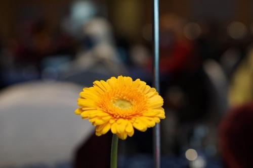 Majlis APC 2020 & Khidmat Bakti 2020 & 2021