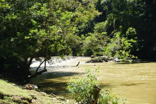 Program Lawatan KP Ke Hulu Perak (Royal Belum)