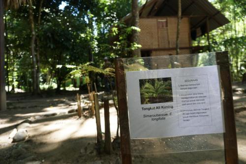 Program Lawatan KP Ke Hulu Perak (Royal Belum)