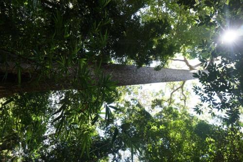 Program Lawatan KP Ke Hulu Perak (Royal Belum)