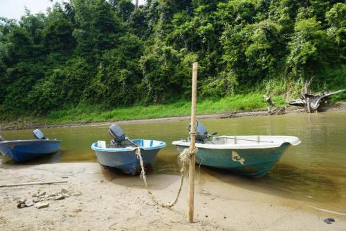 Program Lawatan KP Ke Hulu Perak (Royal Belum)
