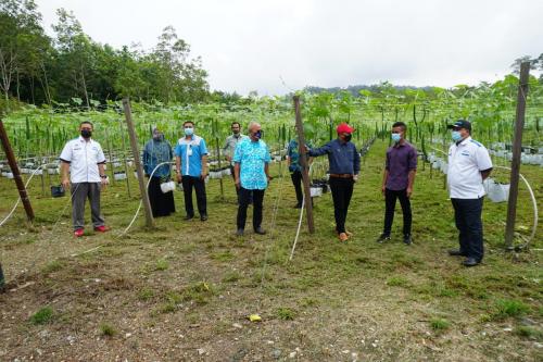 Tinjauan Usahawan OA Pahang berjaya dalam bidang pertanian di Kampung Orang Asli Sungai Bilut, Raub