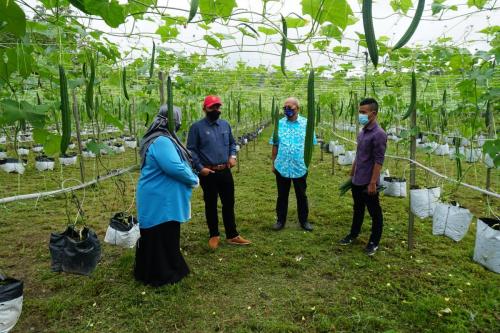 Tinjauan Usahawan OA Pahang berjaya dalam bidang pertanian di Kampung Orang Asli Sungai Bilut, Raub