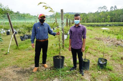 Tinjauan Usahawan OA Pahang berjaya dalam bidang pertanian di Kampung Orang Asli Sungai Bilut, Raub